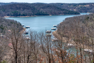 Private 15 Acre Beaver Lake Ridgetop with Two Homes! - photo 2