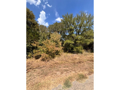 Lake Granbury Lot For Sale in Granbury Texas