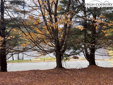 (private lake, pond, coastal) Lot For Sale in Boone North Carolina