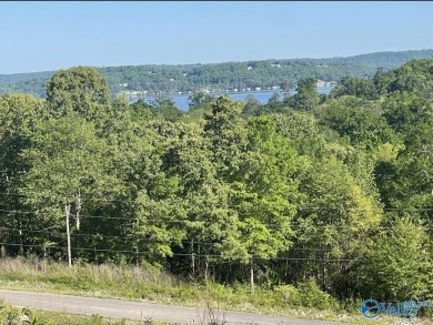 Lake Guntersville Lot For Sale in Guntersville Alabama