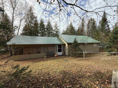 Lake Home For Sale in Rock, Michigan