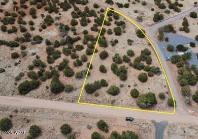 Lake Lot For Sale in White Mountain Lake, Arizona