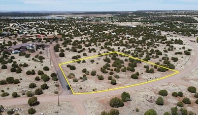 Lake Lot For Sale in White Mountain Lake, Arizona