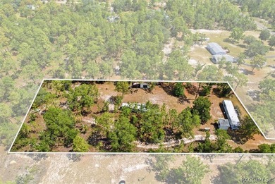 Affordable opportunity on 1.40 acres in Homosassa! This - photo 11
