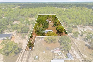 Affordable opportunity on 1.40 acres in Homosassa! This - photo 12