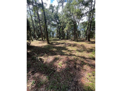 With a total of 1.96 acres, this beautiful deep lot with western - photo 15
