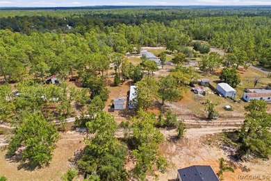 Affordable opportunity on 1.40 acres in Homosassa! This - photo 18