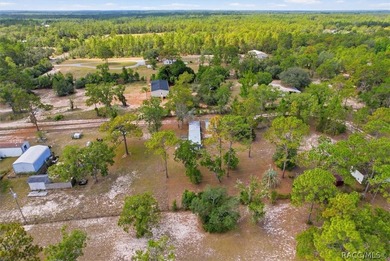 Affordable opportunity on 1.40 acres in Homosassa! This - photo 20