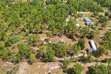 Affordable opportunity on 1.40 acres in Homosassa! This - photo 21