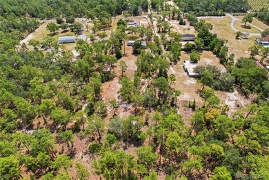 Affordable opportunity on 1.40 acres in Homosassa! This - photo 22
