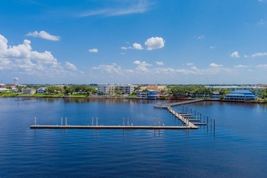 Experience refined waterfront living in this brand-new 3rd-floor - photo 29
