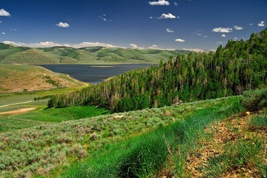 33 N DRY VALLEY Rd 33 - photo 6