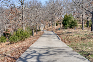 Private 15 Acre Beaver Lake Ridgetop with Two Homes! - photo 7