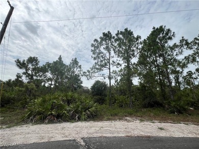 Lehigh Acres Area Lot For Sale in Lehigh Acres Florida