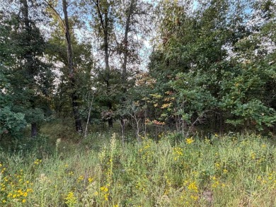 Mark Twain Lake Acreage For Sale in Perry Missouri