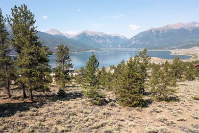 Twin Lakes Reservoir Acreage For Sale in Twin Lakes Colorado