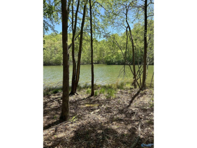 Little Bear Lake Lot For Sale in Hodges Alabama