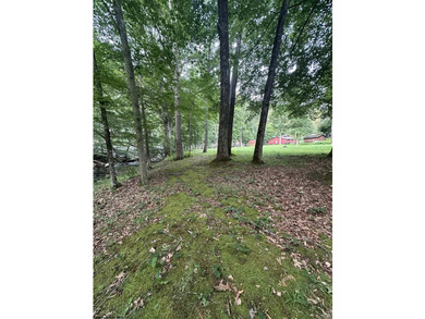 Riverfront retreat on 8 breathtaking acres! This beautiful home - photo 37