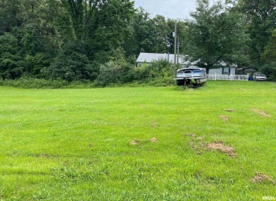 Lake Lot For Sale in Goreville, Illinois