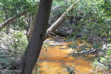 Rare 6.66-acre tract offering privacy, natural beauty and - photo 14