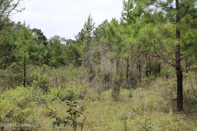 Rare 6.66-acre tract offering privacy, natural beauty and - photo 15