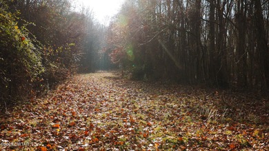 Discover this exceptional 485+/- acre farm with additional - photo 16
