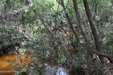 Rare 6.66-acre tract offering privacy, natural beauty and - photo 16