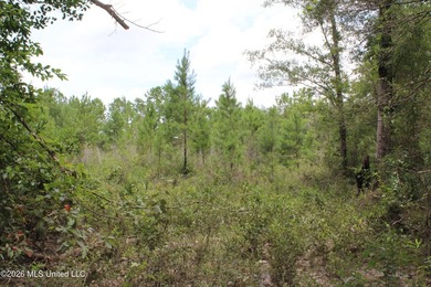 Rare 6.66-acre tract offering privacy, natural beauty and - photo 17