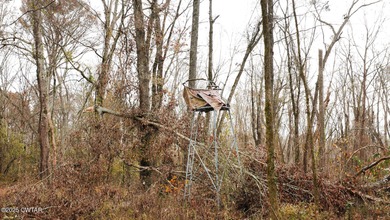 Discover this exceptional 485+/- acre farm with additional - photo 18