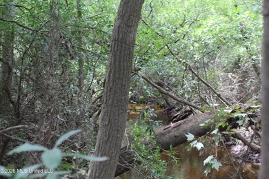 Rare 6.66-acre tract offering privacy, natural beauty and - photo 18