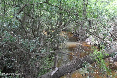 Rare 6.66-acre tract offering privacy, natural beauty and - photo 20