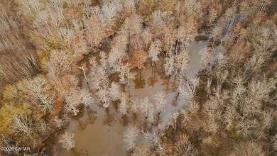 Discover this exceptional 485+/- acre farm with additional - photo 21