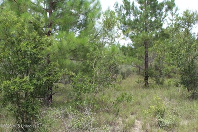Rare 6.66-acre tract offering privacy, natural beauty and - photo 21