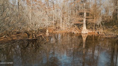 Discover this exceptional 485+/- acre farm with additional - photo 22
