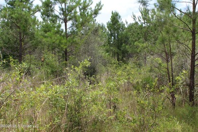 Rare 6.66-acre tract offering privacy, natural beauty and - photo 23