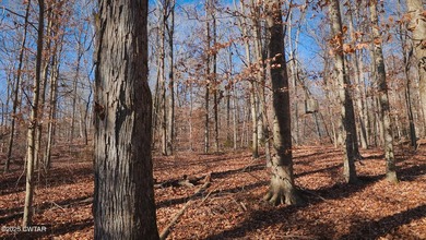 Discover this exceptional 485+/- acre farm with additional - photo 25