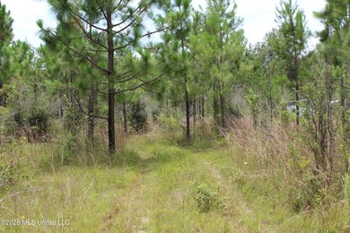 Rare 6.66-acre tract offering privacy, natural beauty and - photo 26