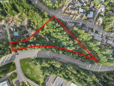 Discover the potential of this 1.51-acre multi-residential - photo 1