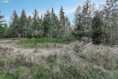 Discover the potential of this 1.51-acre multi-residential - photo 9
