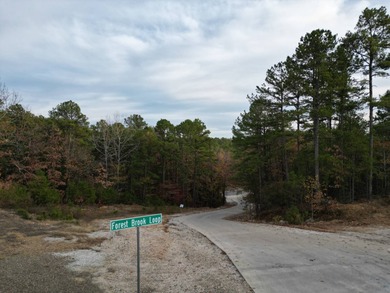 Broken Bow Lake Acreage For Sale in Hochatown Oklahoma