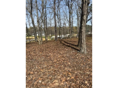 READY TO BUILD YOUR DREAM HOME ON LAKE WEISS...Check out this - photo 6