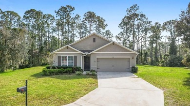 (private lake, pond, creek) Home For Sale in Deltona Florida