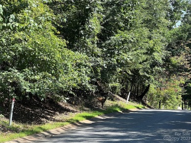Prime location. These +/-.58 wooded acres are nestled in Cramer - photo 5
