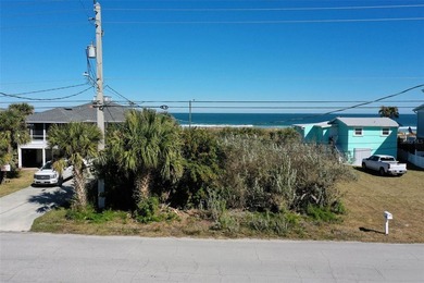 Wonderful lot located on N Ocean Shore BLVD in Flagler Beach - photo 38