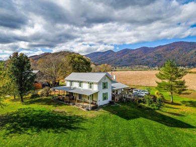 Lake Home For Sale in Hiltons, Virginia