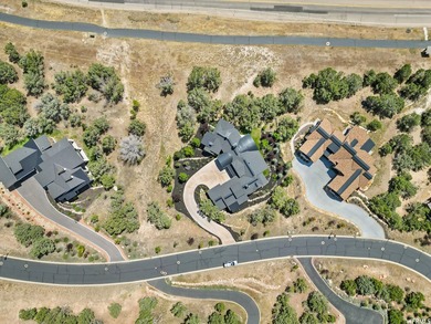 This home is a breathtaking mountain contemporary masterpiece - photo 3