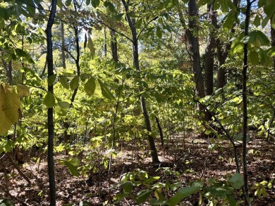 Potomac River Lot For Sale in Montross Virginia