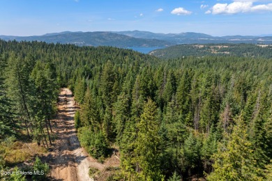 Lake Acreage For Sale in Harrison, Idaho