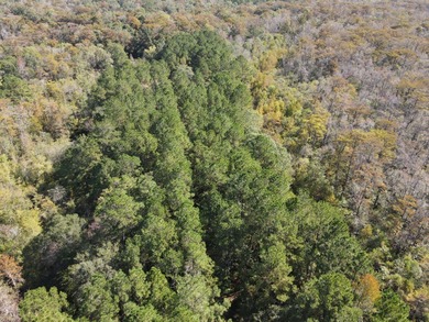 Cape Fear River Acreage For Sale in Burgaw North Carolina