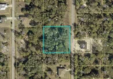 Lehigh Acres Area Lot For Sale in Lehigh Acres Florida